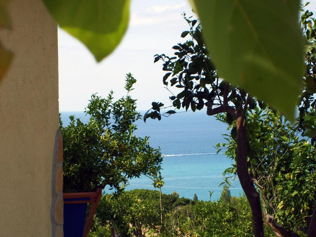 Goddess Yard Tropea Exterior foto